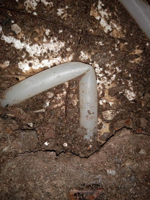 丹寨堵点精准查找